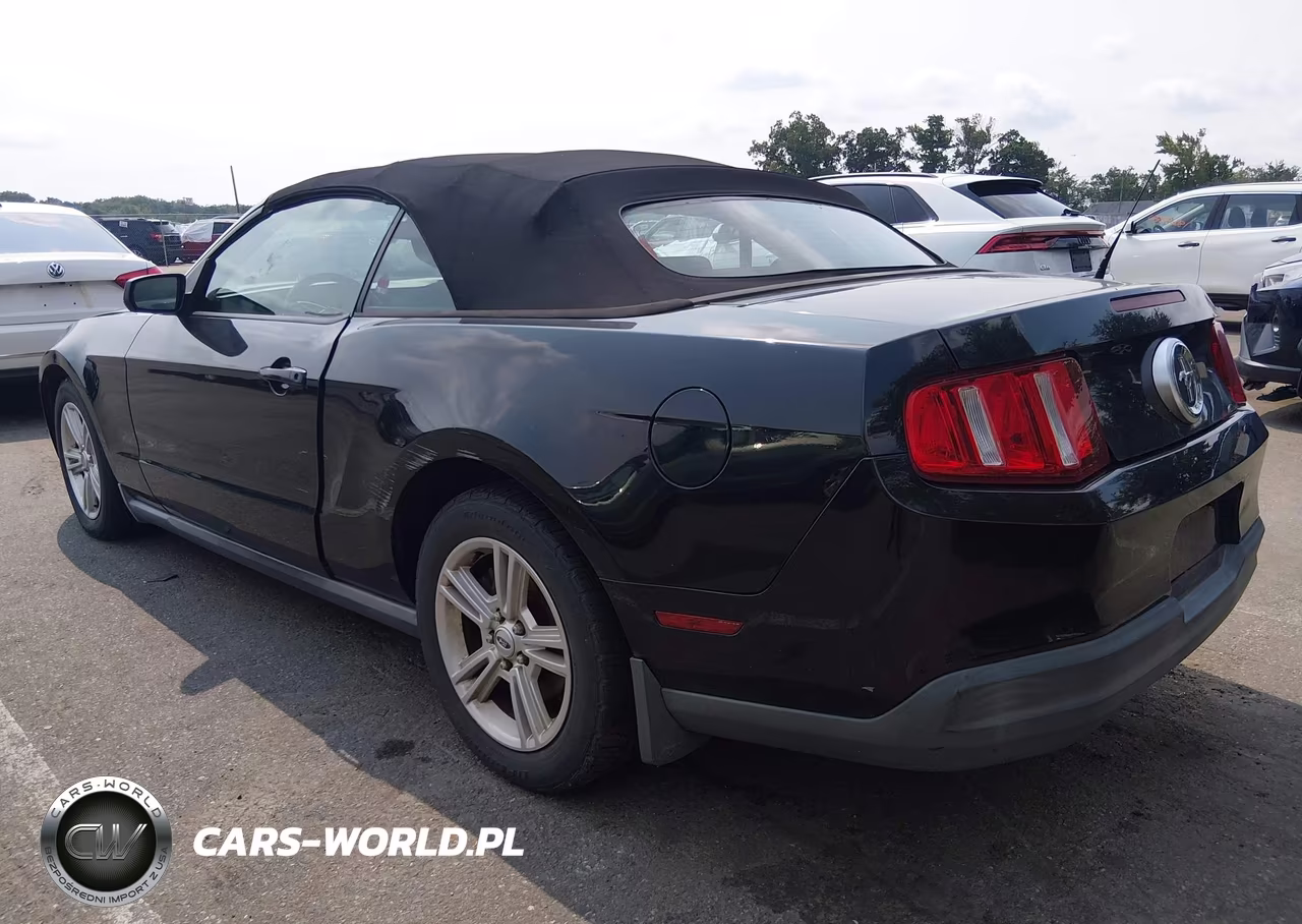 2010 Ford Mustang V6-V6 Premium VIN:1ZVBP8EN0A5128604 - 3