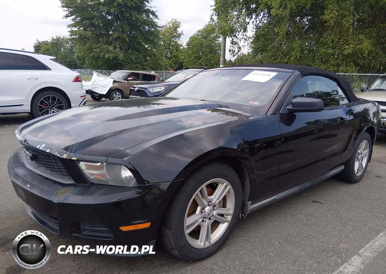2010 Ford Mustang V6-V6 Premium VIN:1ZVBP8EN0A5128604 - 6