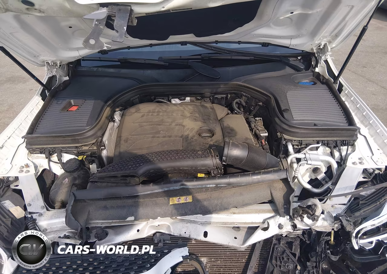 2020 Mercedes-Benz Glc 300 4Matic VIN:W1N0G8EB4LF793365 - 10