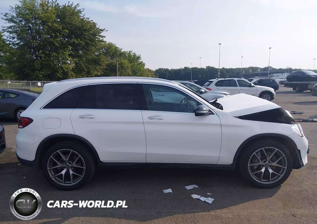 2020 Mercedes-Benz Glc 300 4Matic VIN:W1N0G8EB4LF793365 - 13