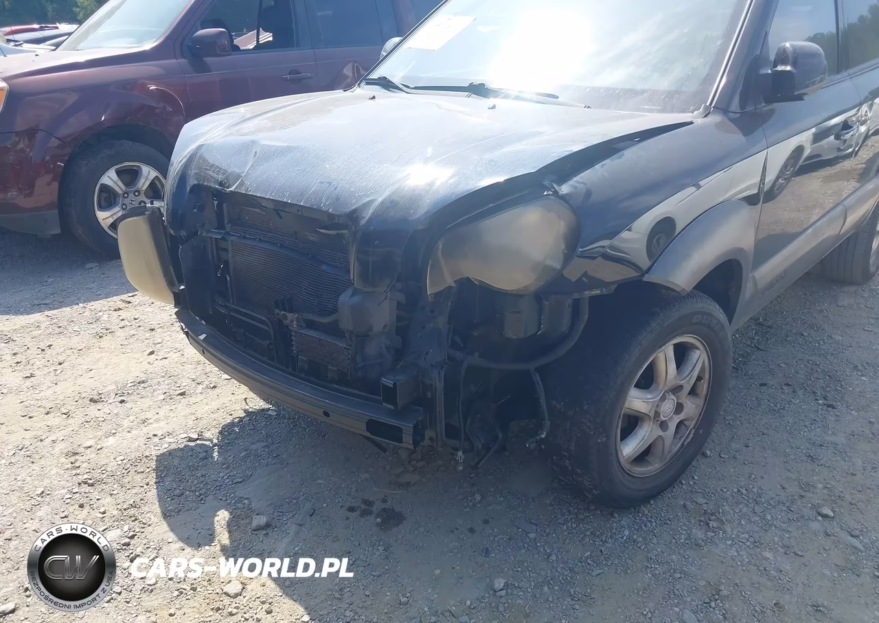 2005 Hyundai Tucson Gls-Lx VIN:KM8JN12D65U193102 - 6