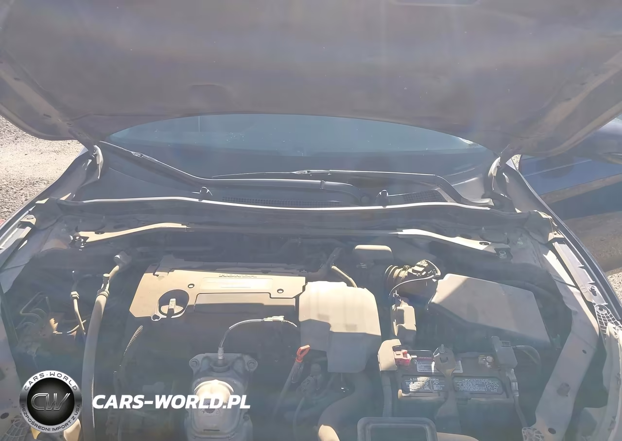 2013 Honda Accord Ex-L VIN:1HGCR2F85DA207464 - 10