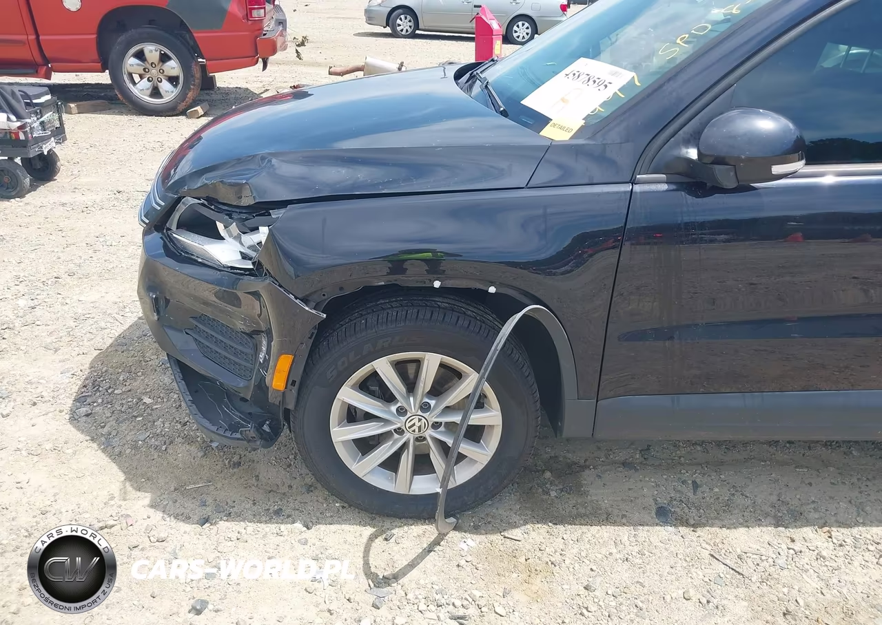2017 Volkswagen Tiguan 2.0T-2.0T S VIN:WVGAV7AX9HK054497 - 18