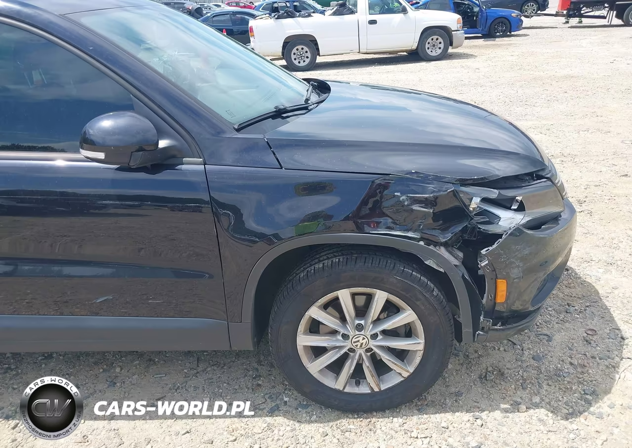 2017 Volkswagen Tiguan 2.0T-2.0T S VIN:WVGAV7AX9HK054497 - 19