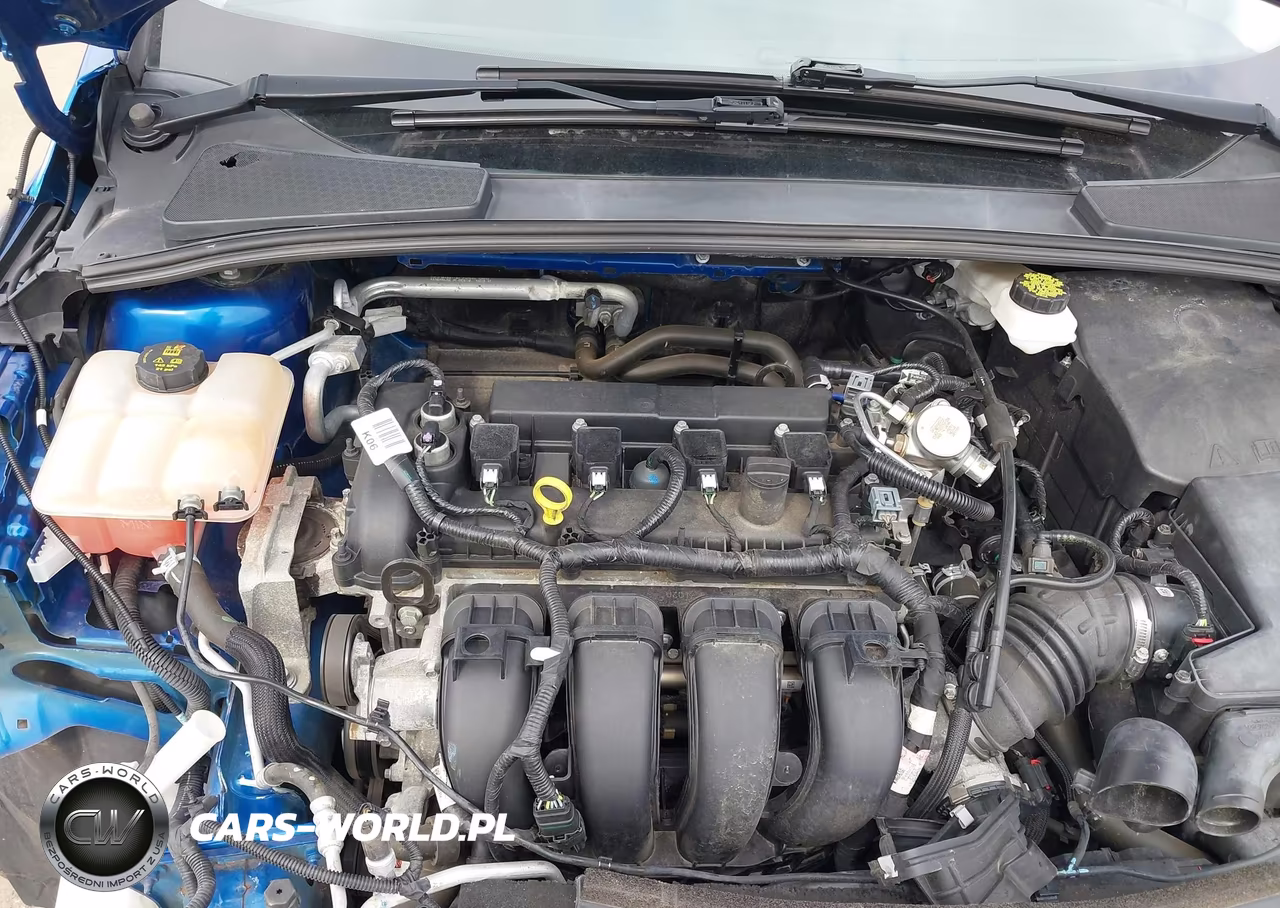 2018 Ford Focus Se VIN:1FADP3K25JL328999 - 10