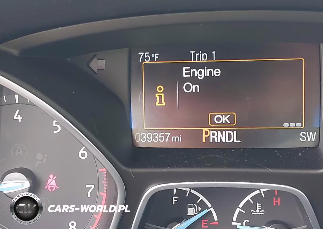 2018 Ford Focus Se VIN:1FADP3K25JL328999 - 16