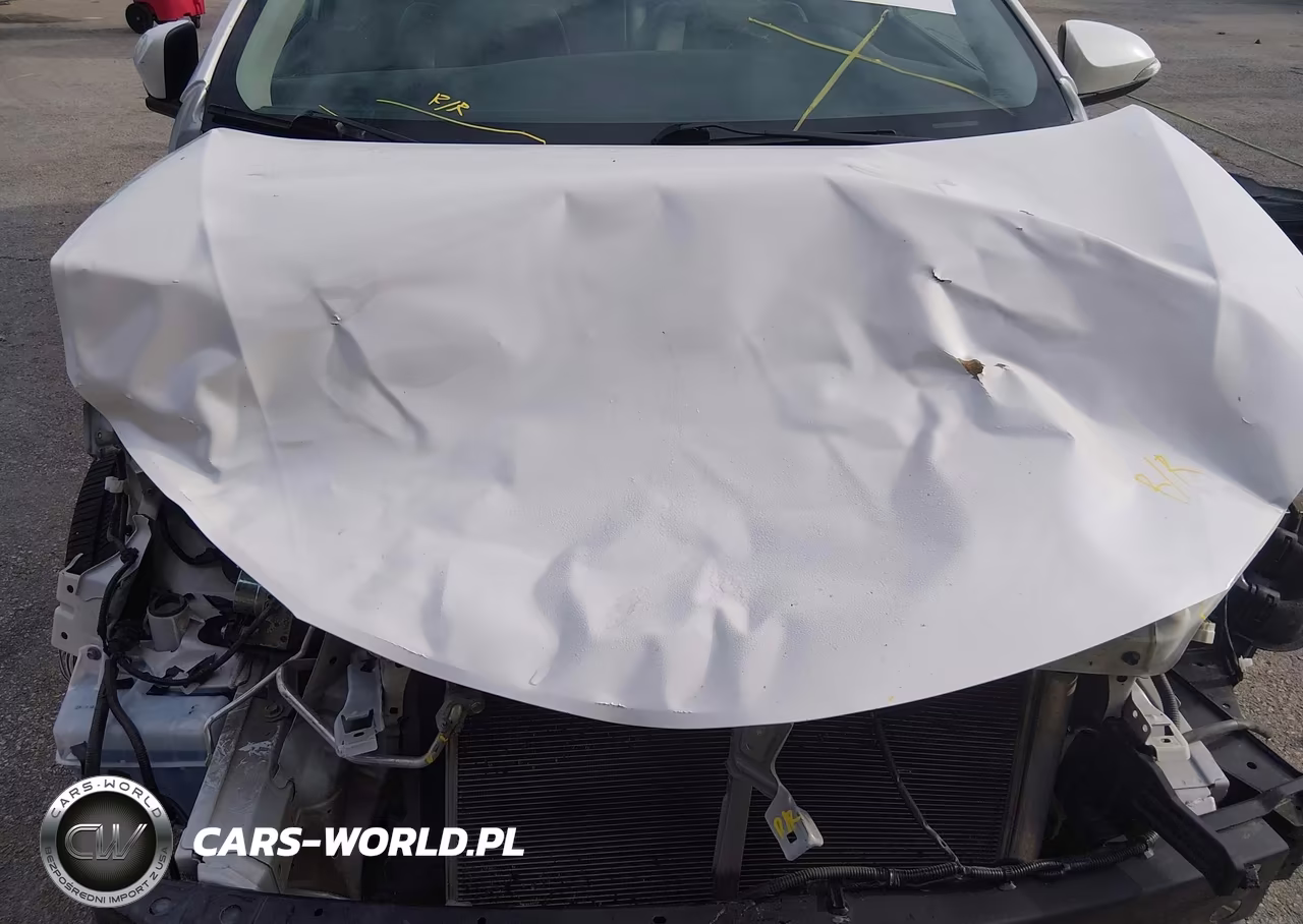 2019 Toyota Corolla Se VIN:5YFBURHE7KP924414 - 20