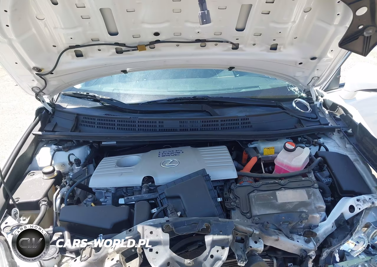 2015 Lexus Ct 200H VIN:JTHKD5BH1F2242224 - 10