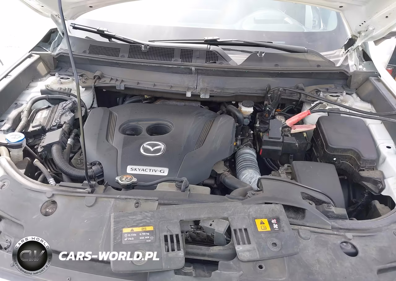 2020 Mazda Cx-9 Grand Touring VIN:JM3TCADY2L0417335 - 10