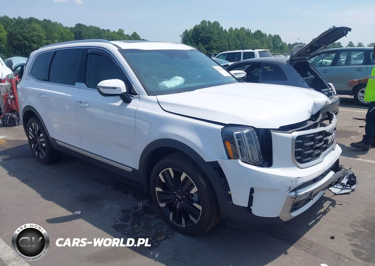 2024 Kia Telluride Sx VIN:5XYP54GCXRG553446 - 1