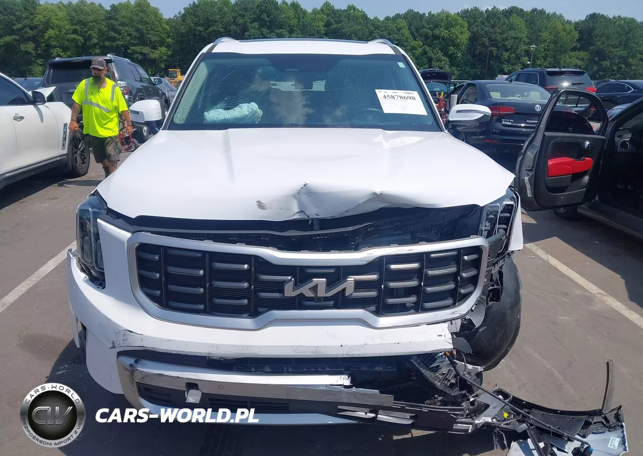 2024 Kia Telluride Sx VIN:5XYP54GCXRG553446 - 12