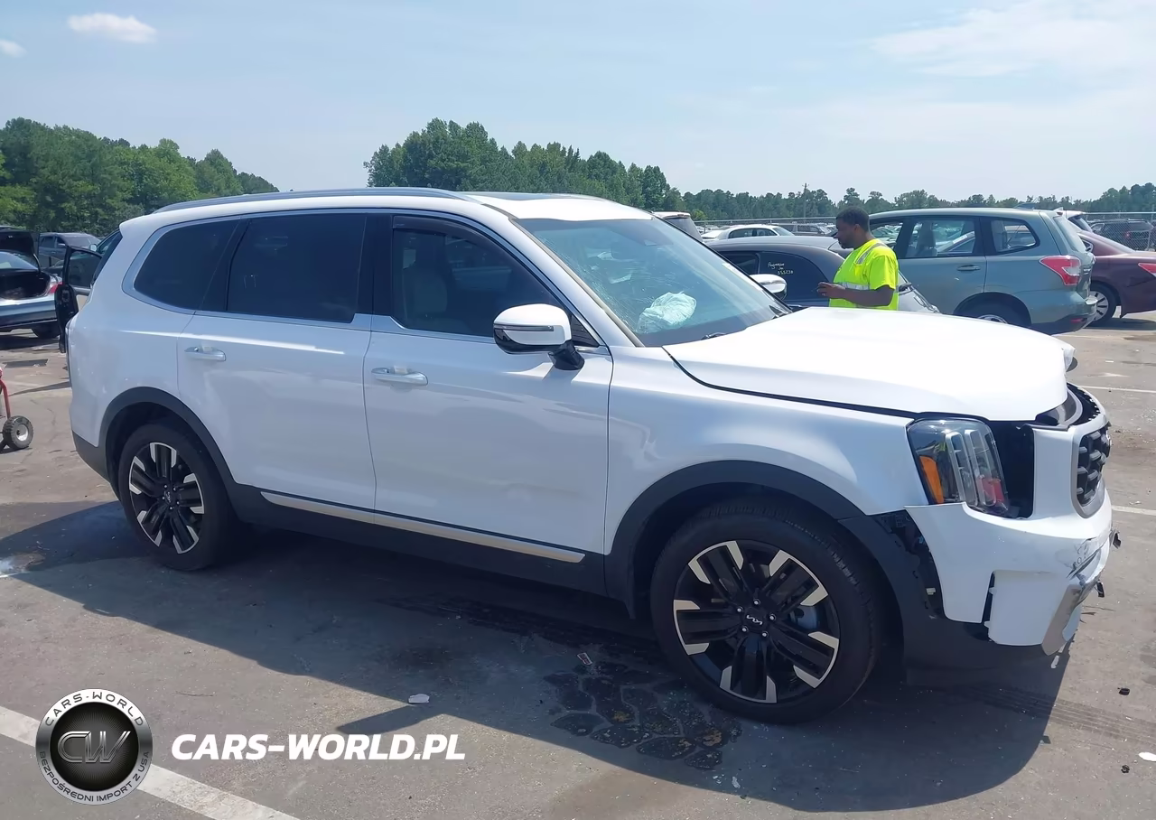 2024 Kia Telluride Sx VIN:5XYP54GCXRG553446 - 13
