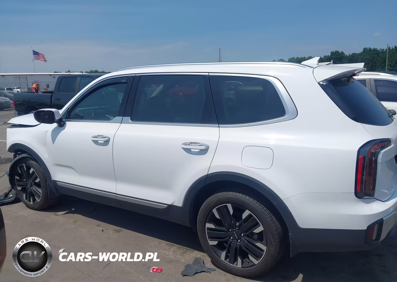 2024 Kia Telluride Sx VIN:5XYP54GCXRG553446 - 14