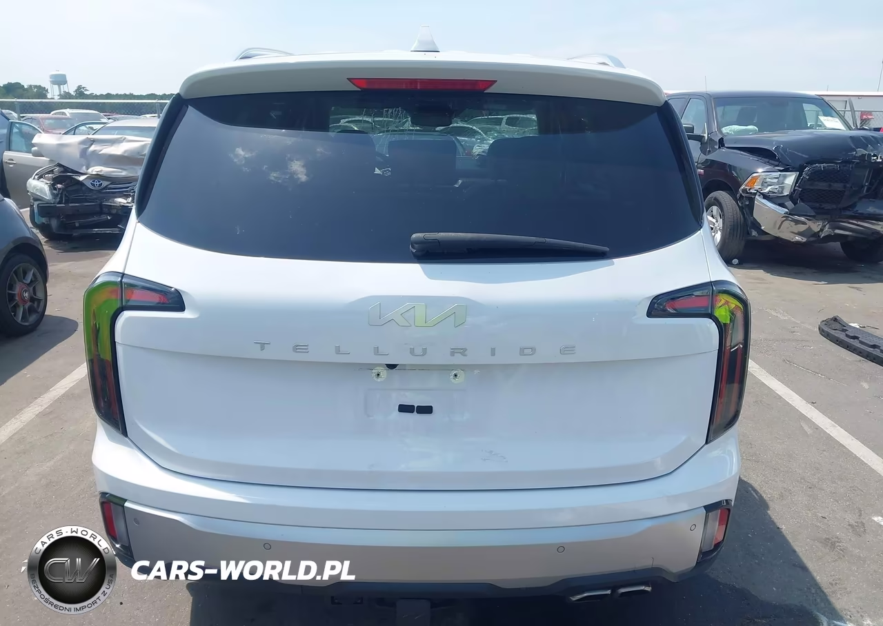 2024 Kia Telluride Sx VIN:5XYP54GCXRG553446 - 16