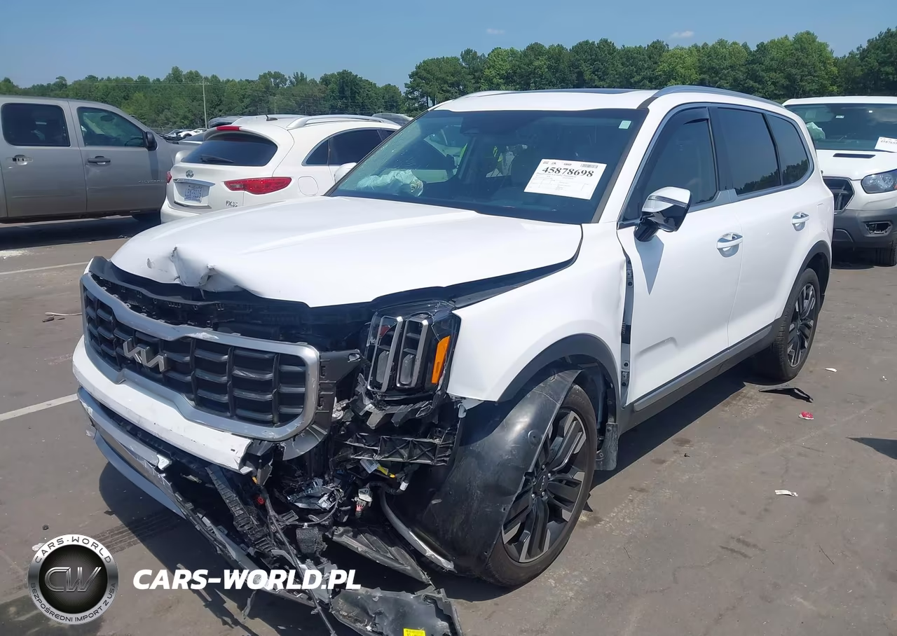 2024 Kia Telluride Sx VIN:5XYP54GCXRG553446 - 2