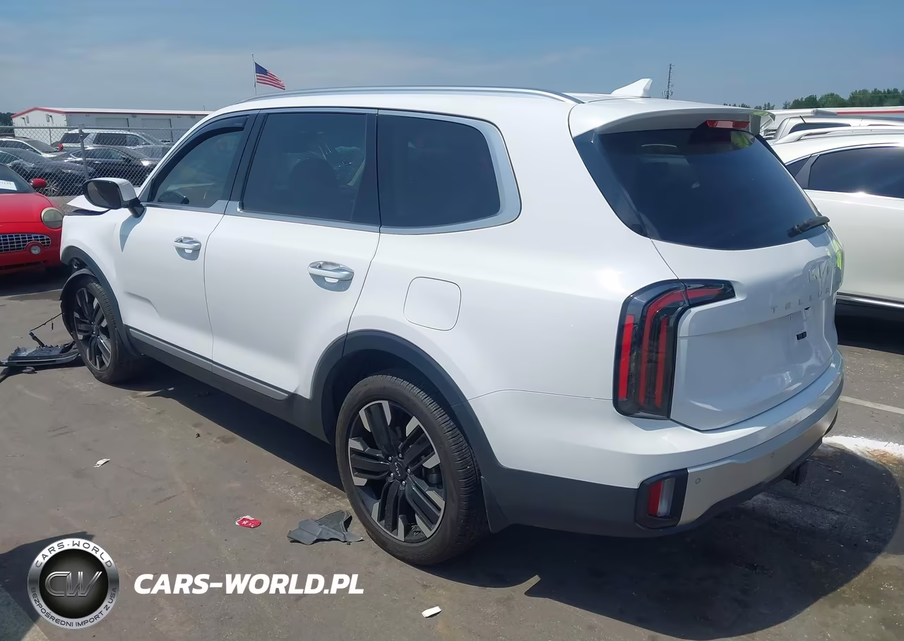 2024 Kia Telluride Sx VIN:5XYP54GCXRG553446 - 3