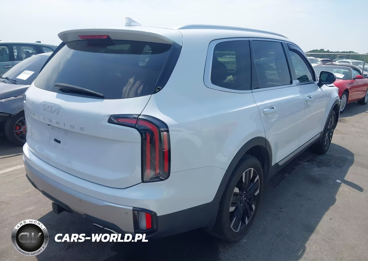 2024 Kia Telluride Sx VIN:5XYP54GCXRG553446 - 4