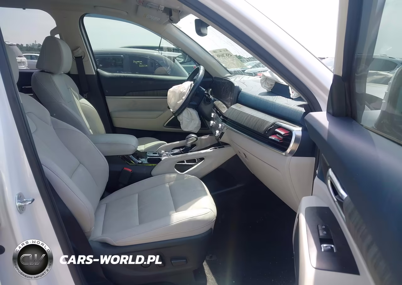 2024 Kia Telluride Sx VIN:5XYP54GCXRG553446 - 5
