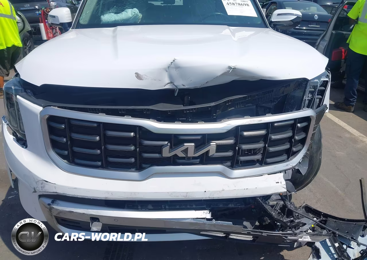 2024 Kia Telluride Sx VIN:5XYP54GCXRG553446 - 6
