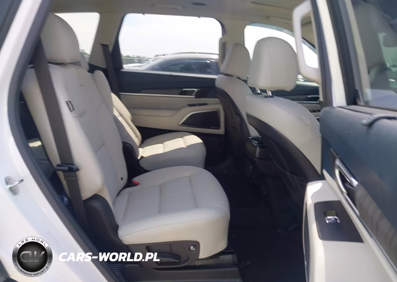 2024 Kia Telluride Sx VIN:5XYP54GCXRG553446 - 8