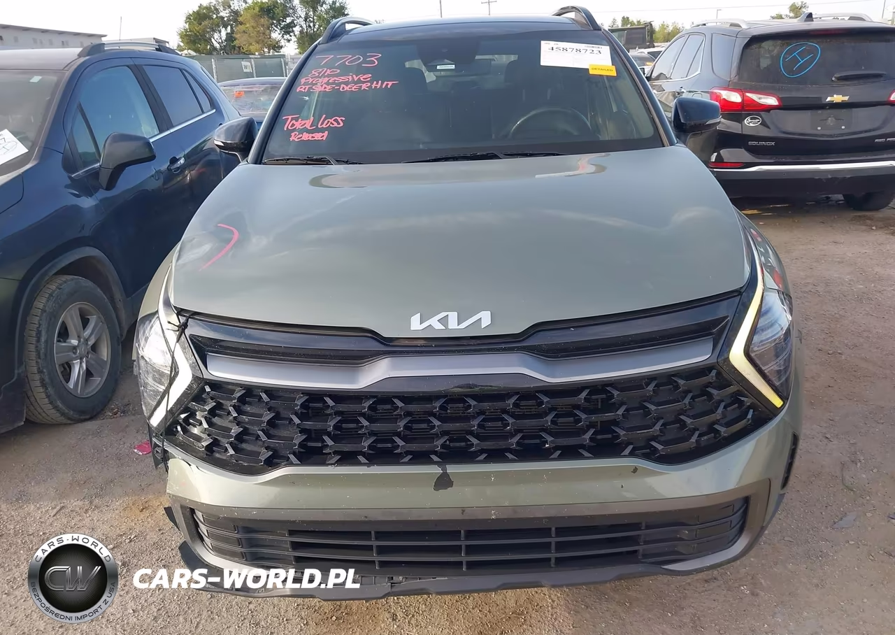 2024 Kia Sportage X-Line VIN:5XYK6CDFXRG228764 - 12