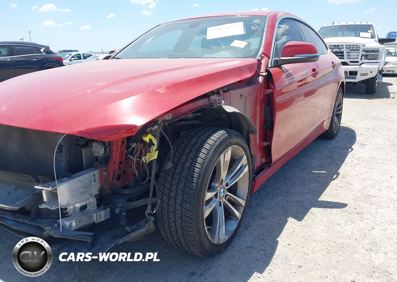 2017 BMW 430I Gran Coupe VIN:WBA4F7C5XHG438413 - 17