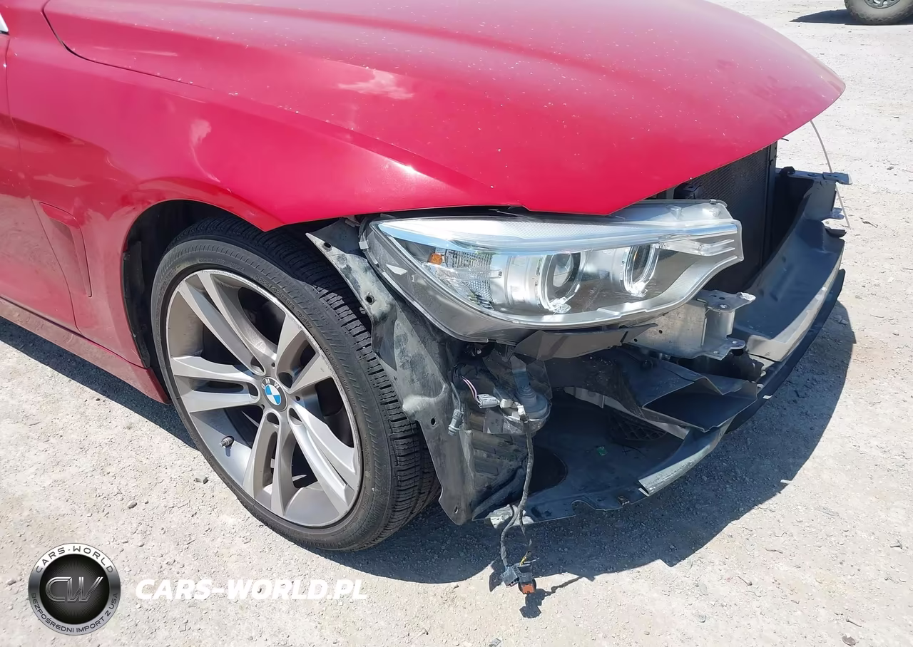 2017 BMW 430I Gran Coupe VIN:WBA4F7C5XHG438413 - 18