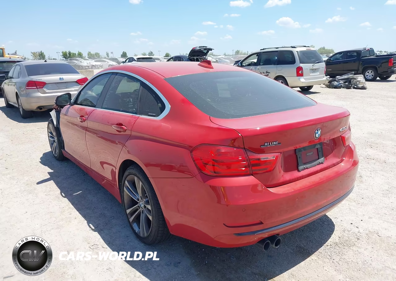 2017 BMW 430I Gran Coupe VIN:WBA4F7C5XHG438413 - 3