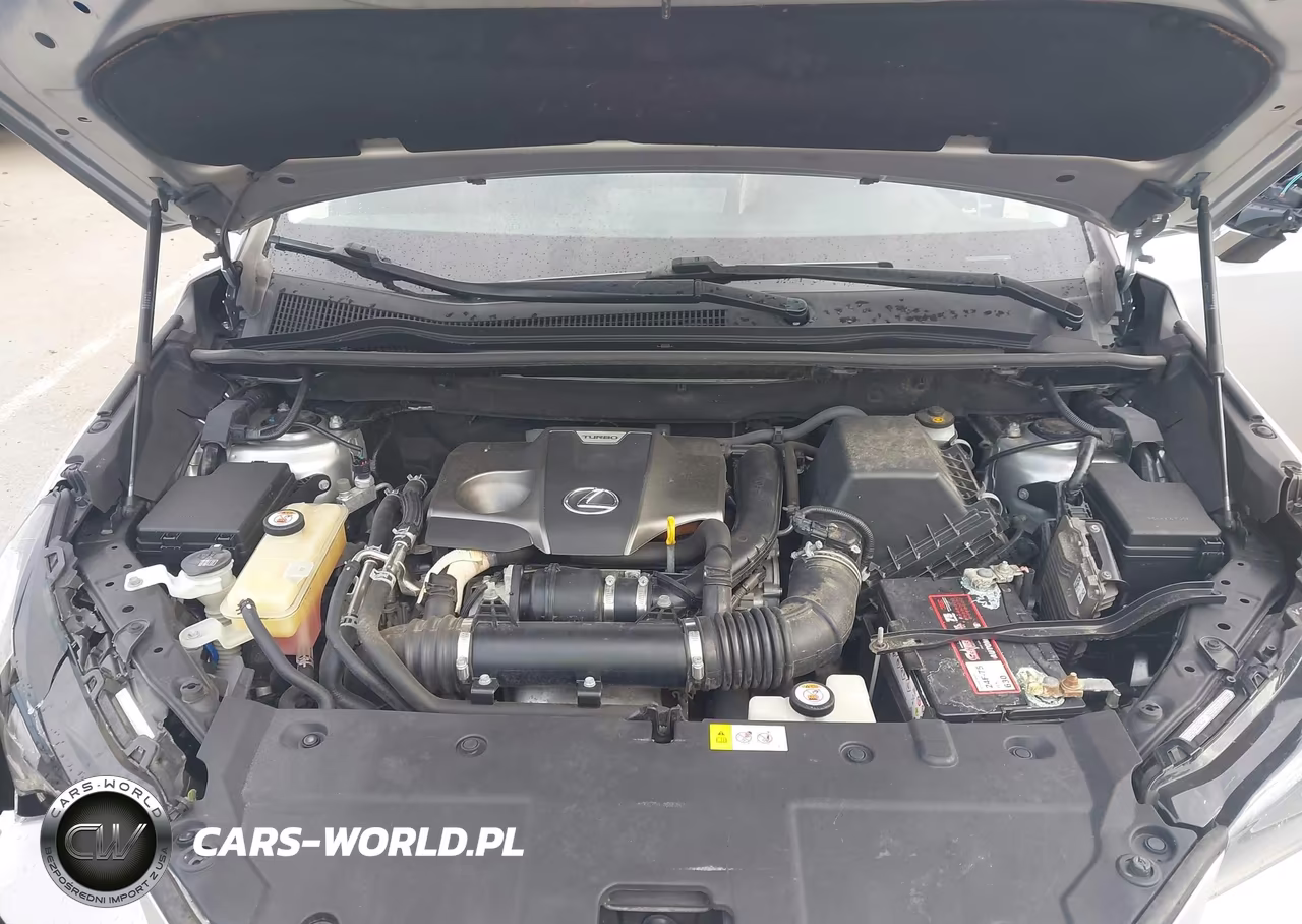 2018 Lexus Nx 300 VIN:JTJYARBZ0J2091225 - 10