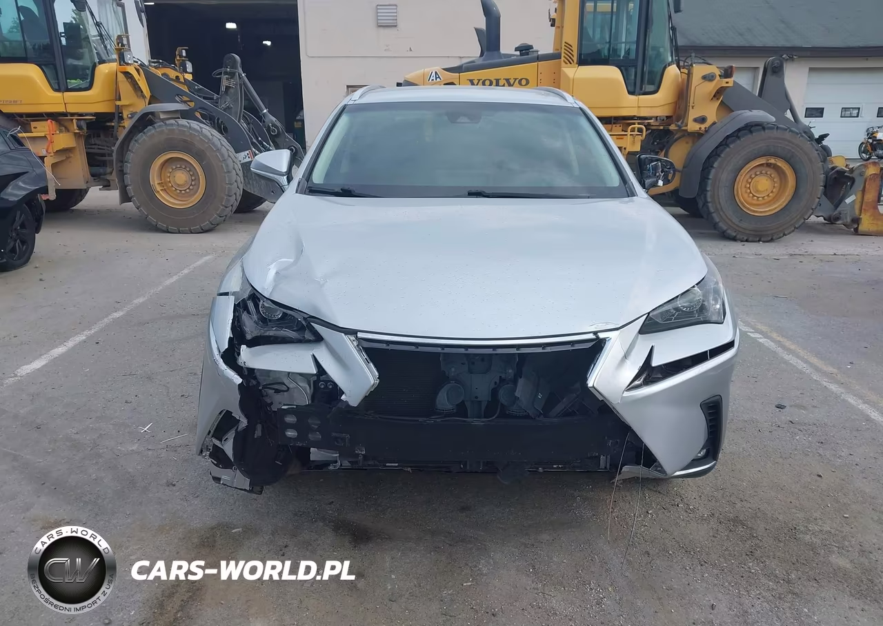 2018 Lexus Nx 300 VIN:JTJYARBZ0J2091225 - 12