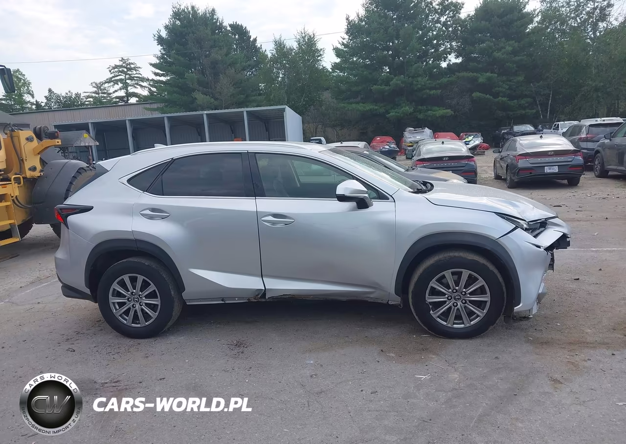 2018 Lexus Nx 300 VIN:JTJYARBZ0J2091225 - 13