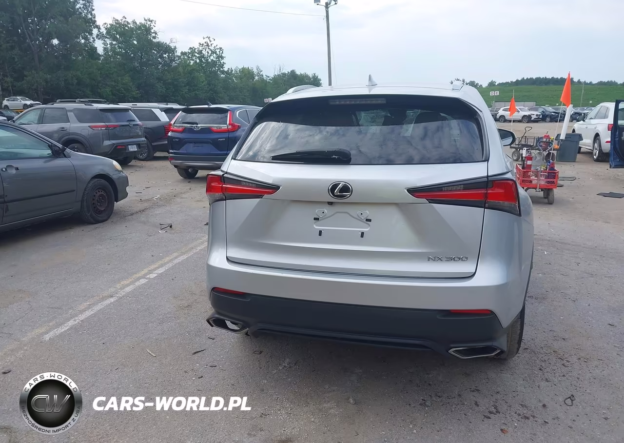 2018 Lexus Nx 300 VIN:JTJYARBZ0J2091225 - 16