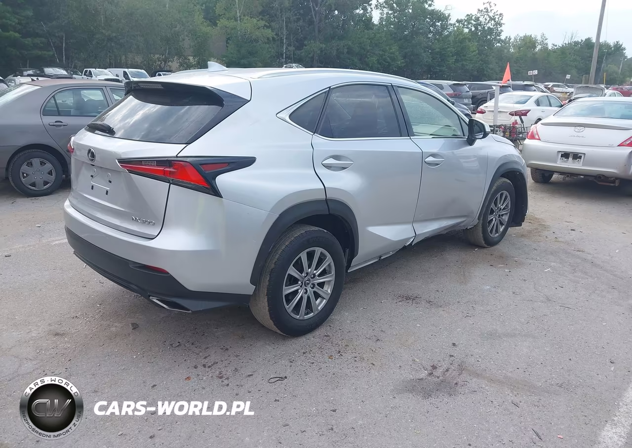 2018 Lexus Nx 300 VIN:JTJYARBZ0J2091225 - 4