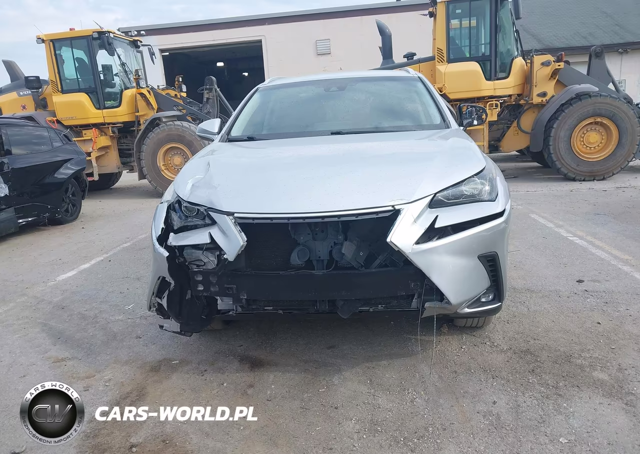 2018 Lexus Nx 300 VIN:JTJYARBZ0J2091225 - 6