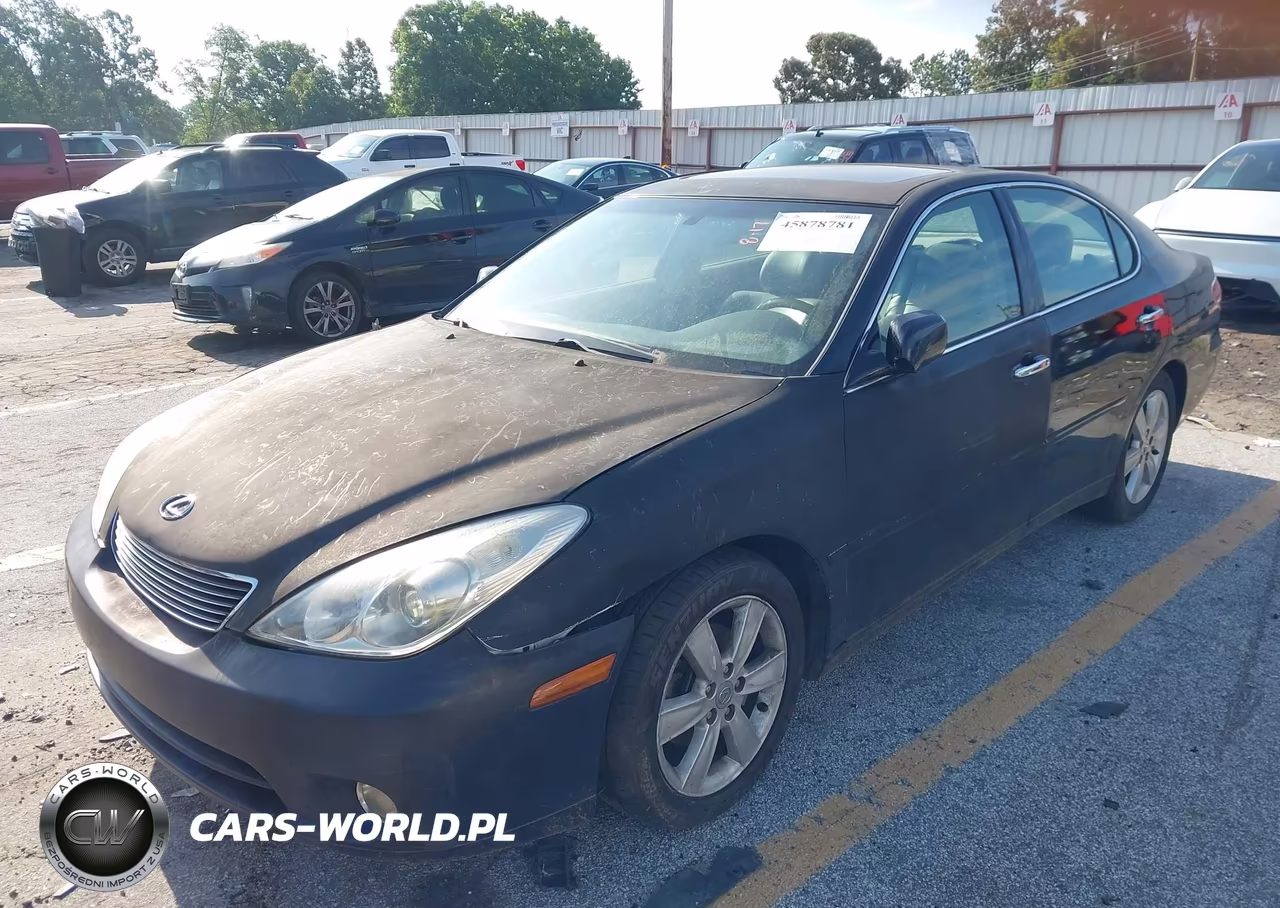 2005 Lexus Es 330 VIN:JTHBA30G450024019 - 6