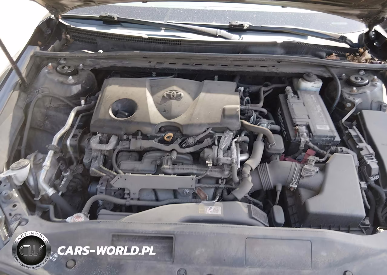 2019 Toyota Camry Le VIN:4T1B11HK2KU689550 - 10