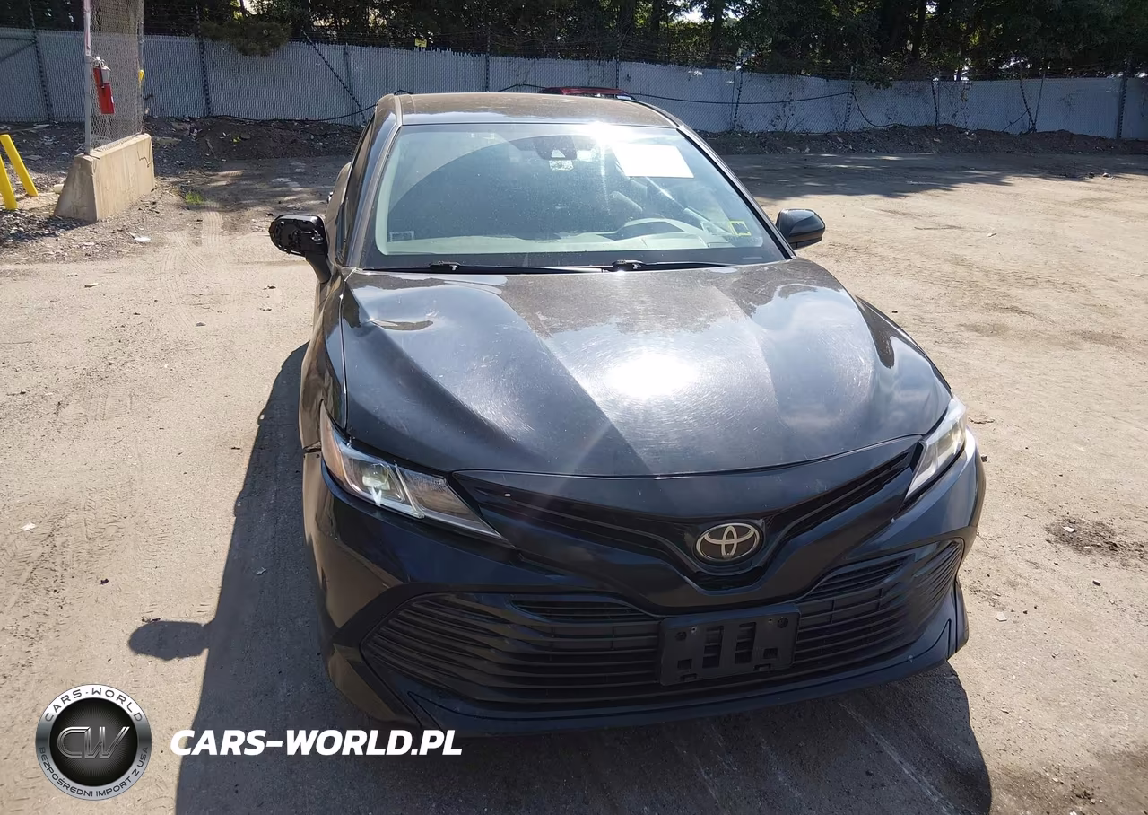 2019 Toyota Camry Le VIN:4T1B11HK2KU689550 - 12