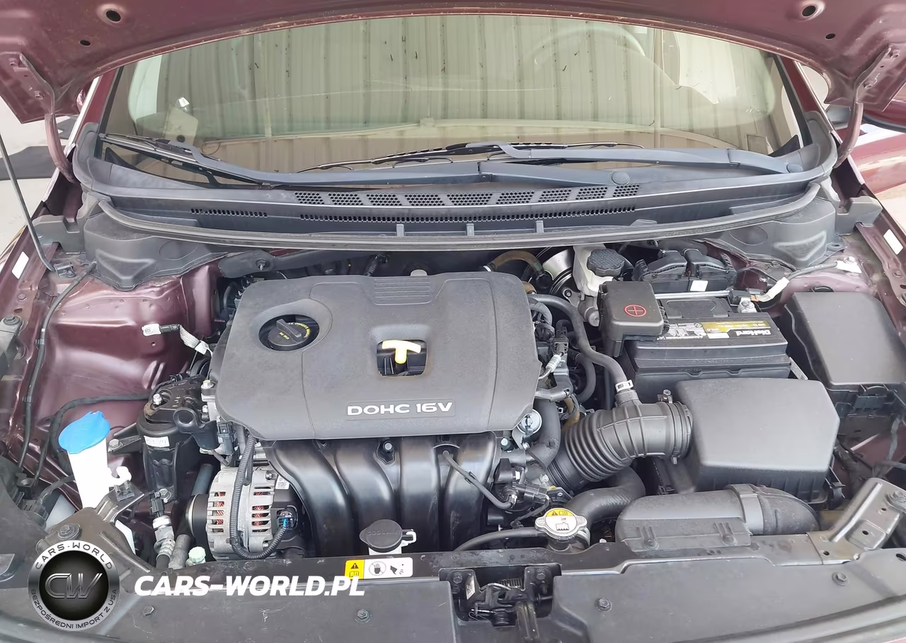 2017 Kia Forte Lx VIN:3KPFK4A70HE147932 - 10
