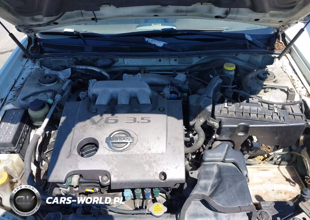 2002 Nissan Maxima Gle VIN:JN1DA31D62T436941 - 10