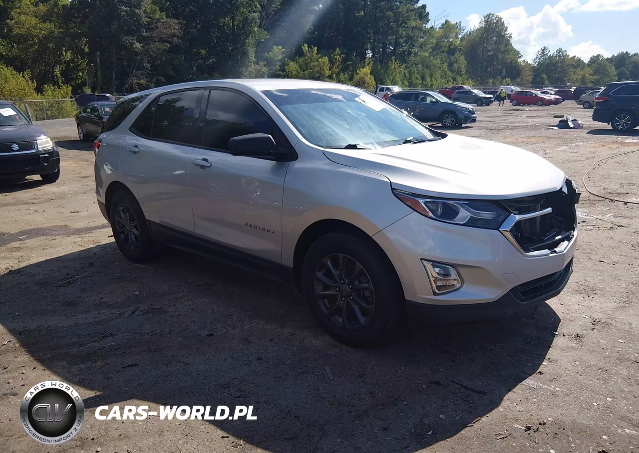 2019 Chevrolet Equinox Ls – zdjęcie 1 z 20