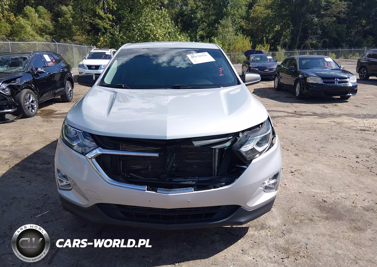 2019 Chevrolet Equinox Ls VIN:2GNAXHEV8K6147123 - 12
