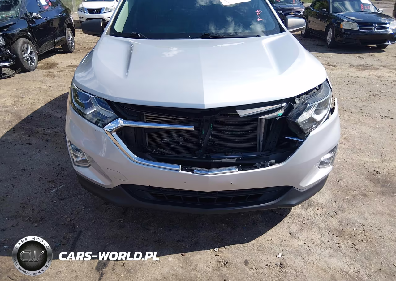 2019 Chevrolet Equinox Ls VIN:2GNAXHEV8K6147123 - 18