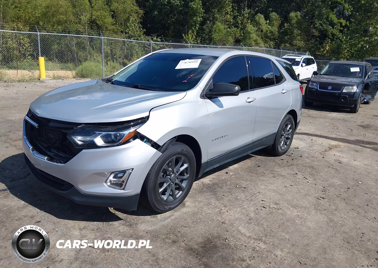 2019 Chevrolet Equinox Ls VIN:2GNAXHEV8K6147123 - 2