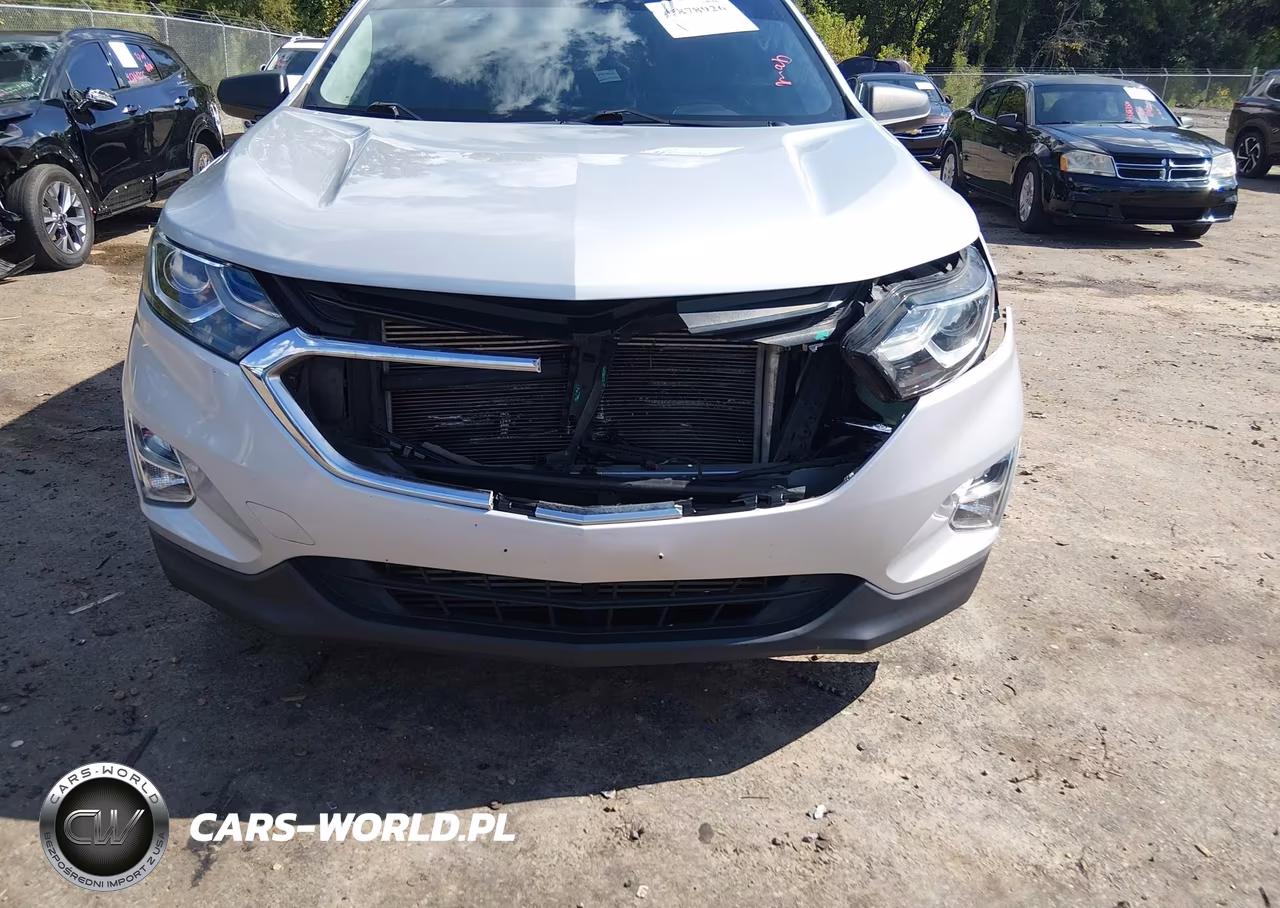 2019 Chevrolet Equinox Ls VIN:2GNAXHEV8K6147123 - 6