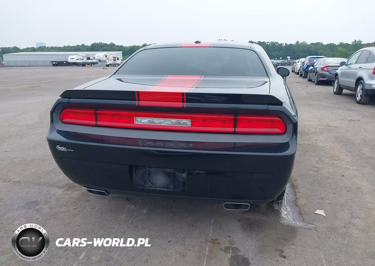 2013 Dodge Challenger Rallye Redline VIN:2C3CDYAGXDH553885 - 17