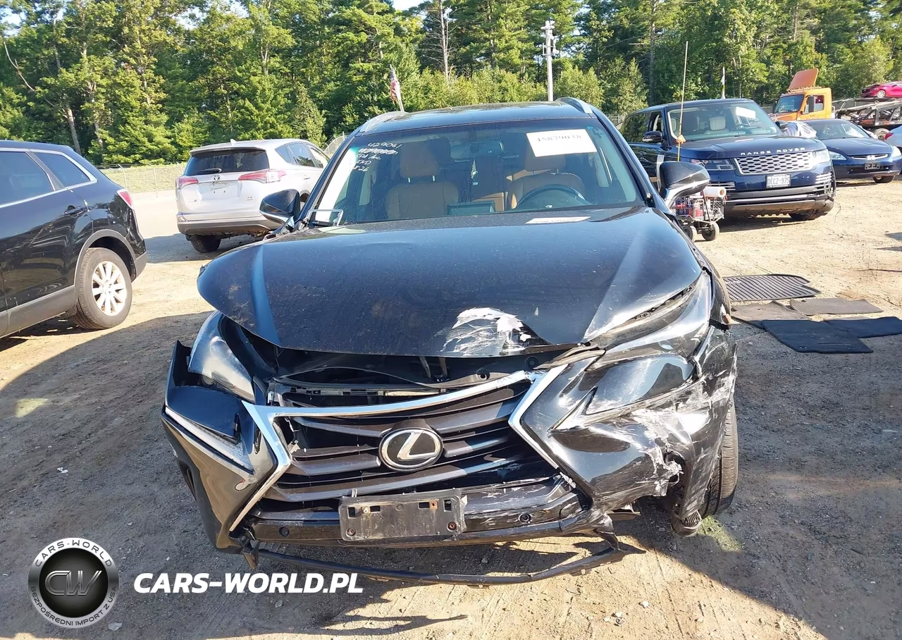 2017 Lexus Nx 200T VIN:JTJBARBZ2H2099875 - 13