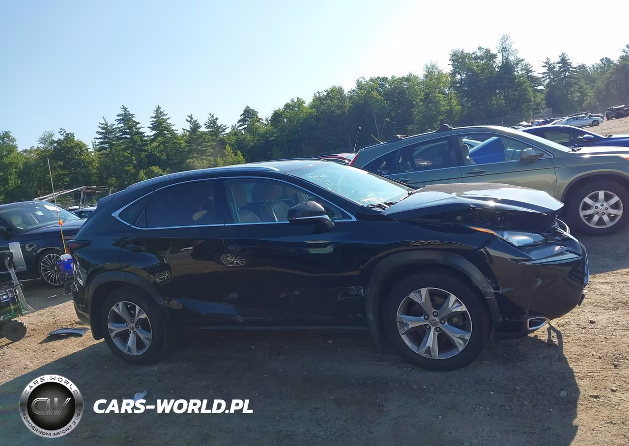 2017 Lexus Nx 200T VIN:JTJBARBZ2H2099875 - 14