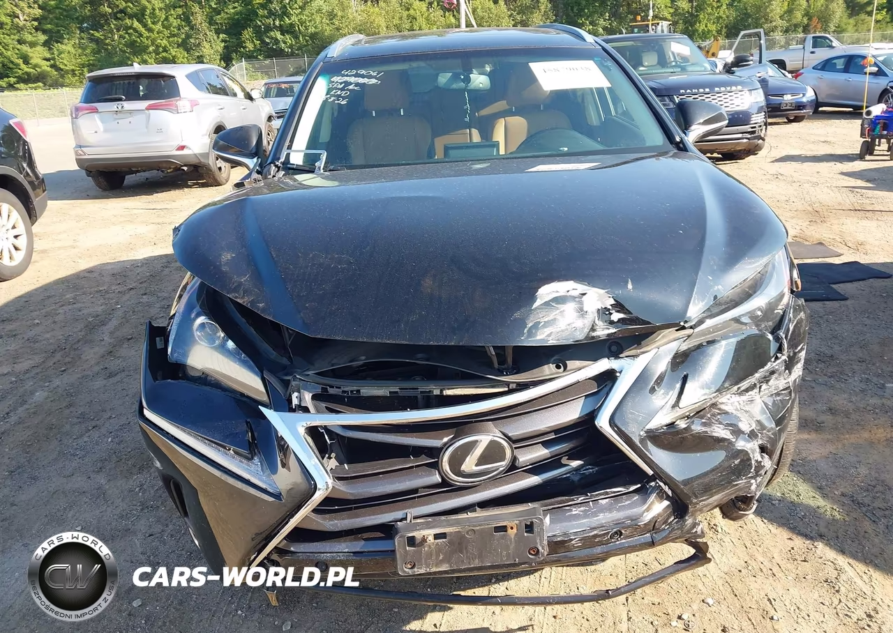 2017 Lexus Nx 200T VIN:JTJBARBZ2H2099875 - 6