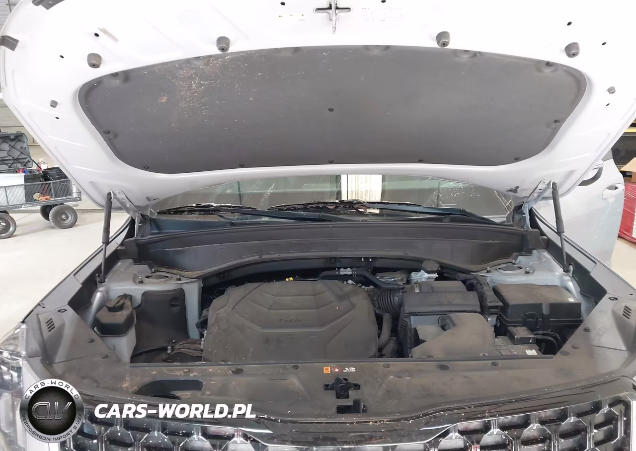 2024 Kia Telluride Ex X-Line VIN:5XYP3DGC8RG553869 - 10
