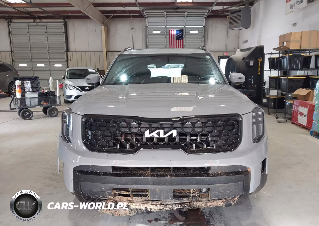 2024 Kia Telluride Ex X-Line VIN:5XYP3DGC8RG553869 - 12